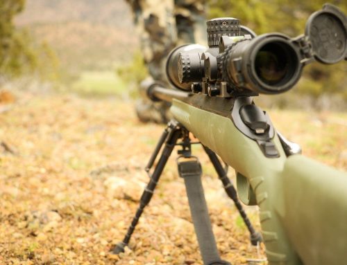 6 Key Factors When Choosing a Deer Hunting Rifle