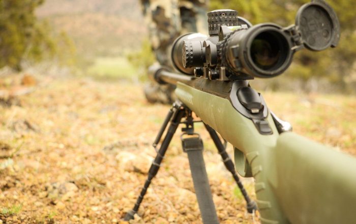 6-key-factors-when-choosing-a-deer-hunting-rifle